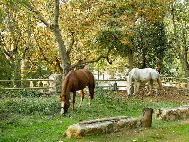 lespluga de francoli