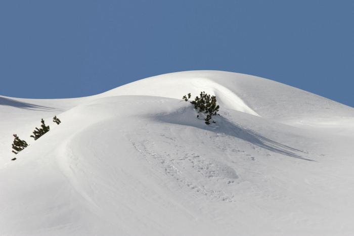 hotel sonnenhof bed and breakfast and appartements