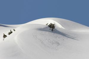 hotel sonnenhof bed and breakfast and appartements