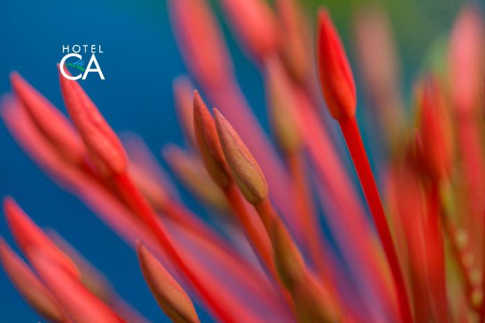 canto das aguas hotel