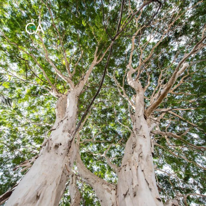 canto das aguas hotel