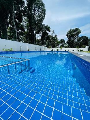 the windy mist resort munnar