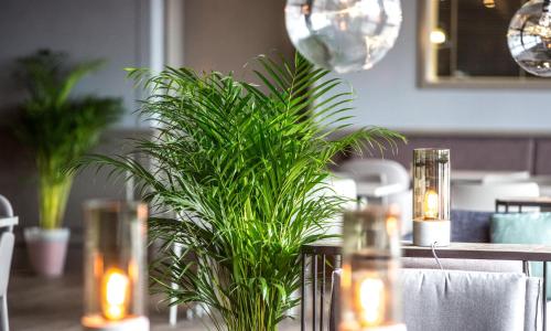 thon partner hotel horten