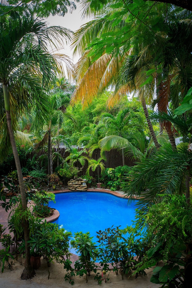 the palms oceanfront suites