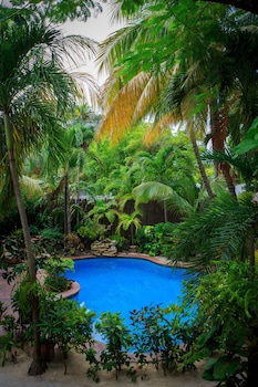 the palms oceanfront suites