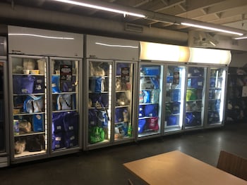 nomads sydney hostel