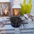cyclades studios paros