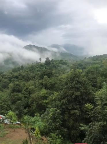 nakshatra resort shimla