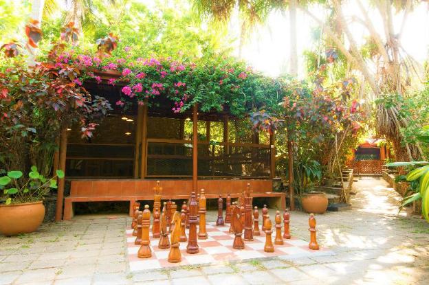 palm paradise cabanas