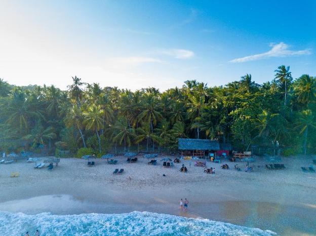 palm paradise cabanas and villas beach resort tangalle