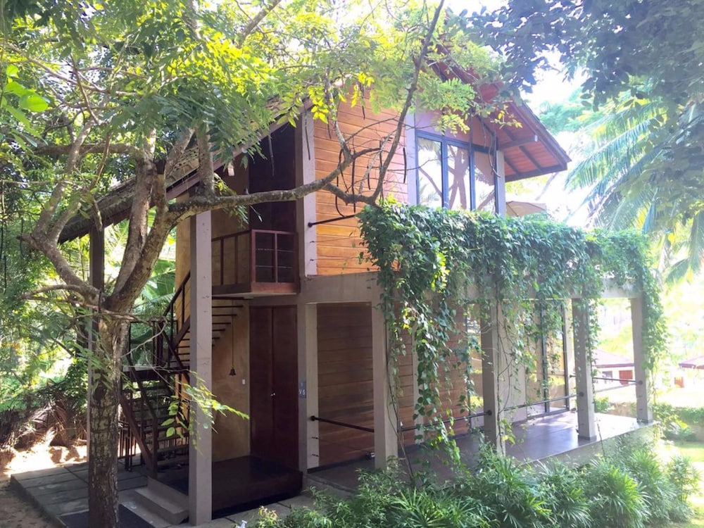 palm paradise cabanas