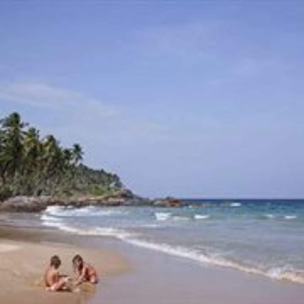 palm paradise cabanas