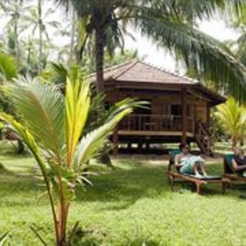 palm paradise cabanas