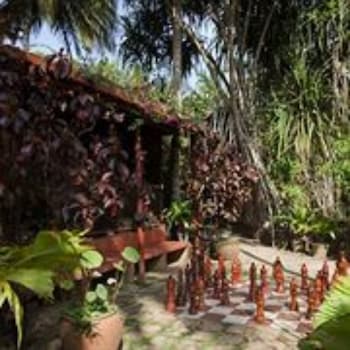 Palm Paradise Cabanas,Nuwara Eliya>>Morakatiyara,3 star