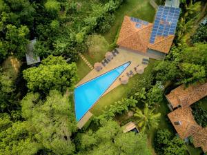 palm paradise cabanas