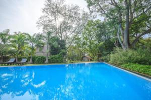 palm paradise cabanas