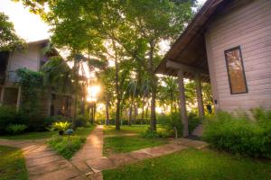 palm paradise cabanas