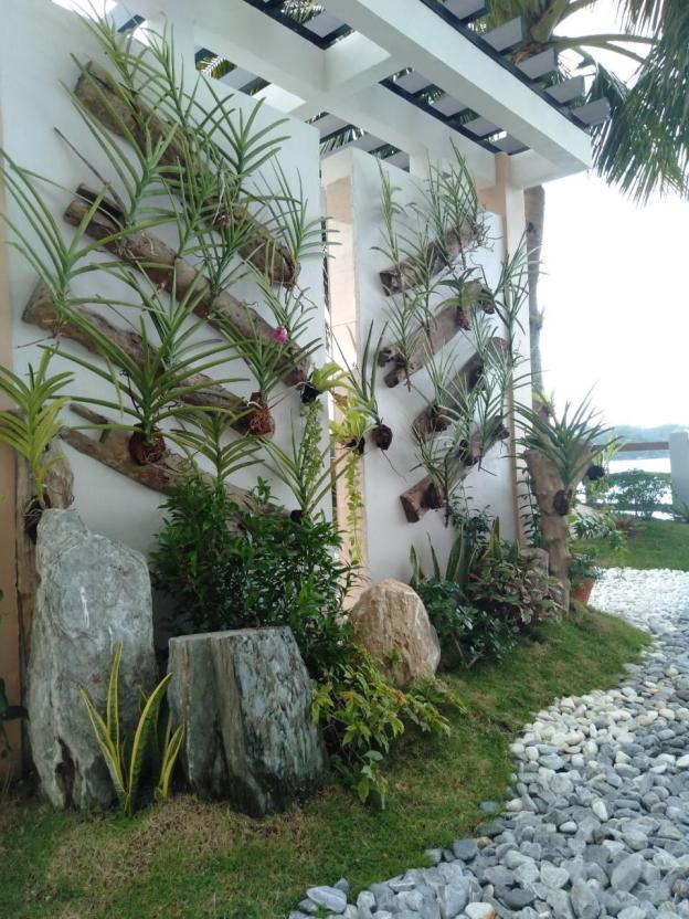 nirvana resort
