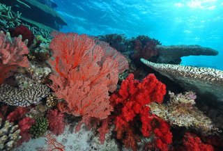 sheraton new caledonia deva spa and golf resort