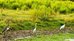 hampton inn okeechobee lake okeechobee