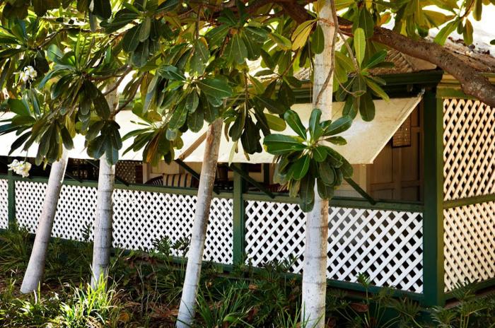 pinctada mcalpine house