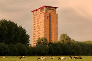 houten