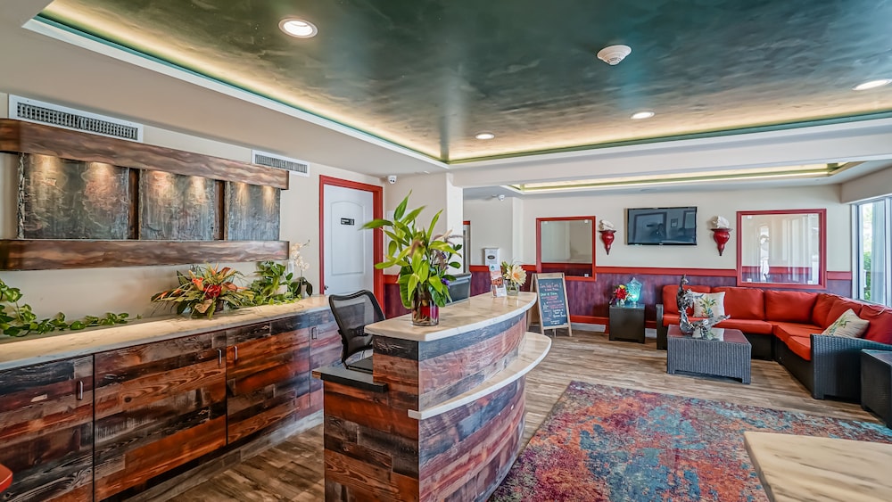 glunz ocean beach hotel and resort