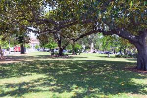 high cross randwick by sydney lodges