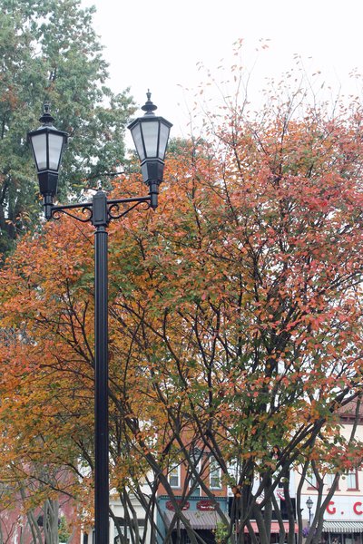 hampton inn gallipolis