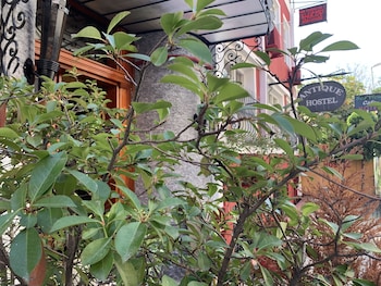 antique hostel and guesthouse