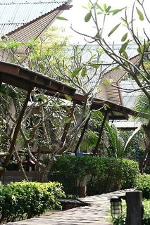 cocohut beach resort