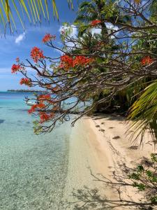 maitai polynesia bora bora