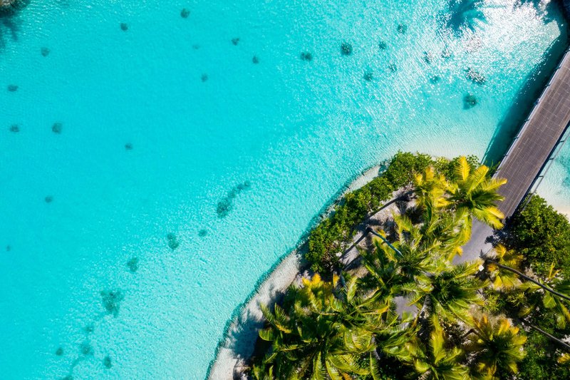 the st regis bora bora resort
