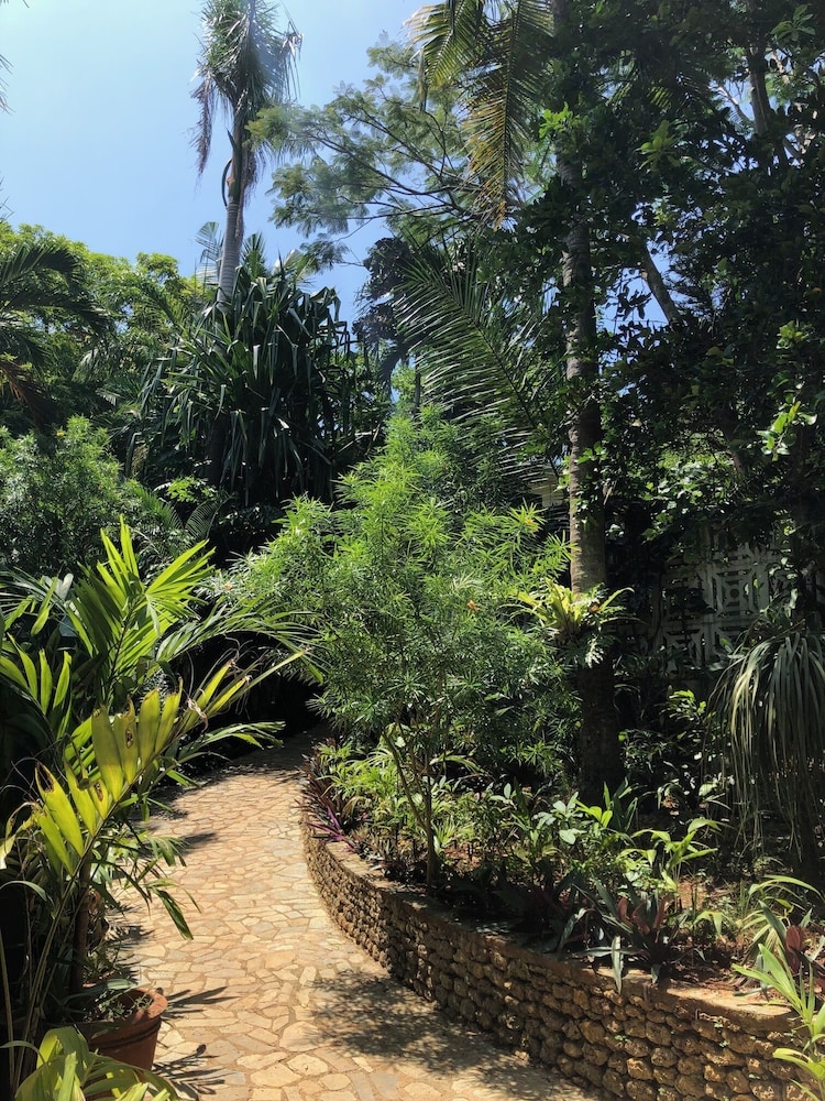 argonauta boracay boutique hotel with apartments and villas