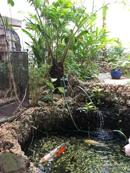 argonauta boracay boutique hotel with apartments and villas