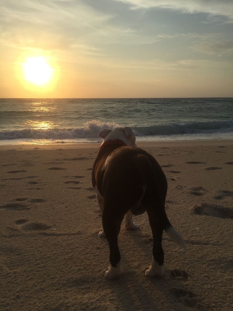 argonauta boracay boutique hotel with apartments and villas