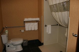 hampton inn and suites indianapolis brownsburg