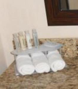 Holiday Inn Express & Suites Kansas City Ku Medical Center,Kansas City>>Grandview,3 star