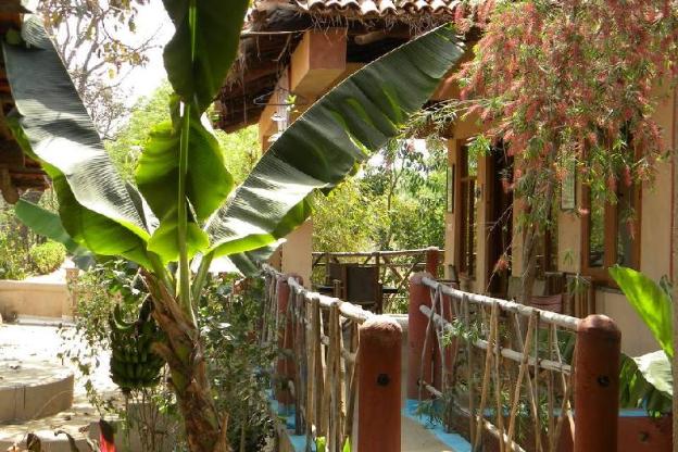 the baagh a forest retreat