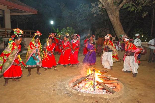 the baagh a forest retreat