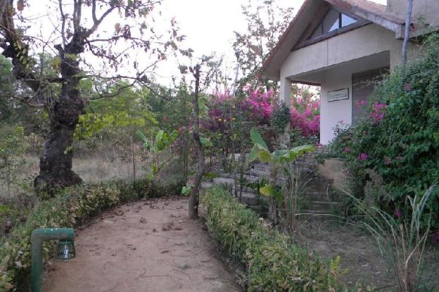 the baagh a forest retreat