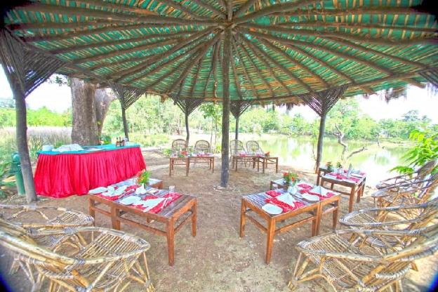 the baagh a forest retreat