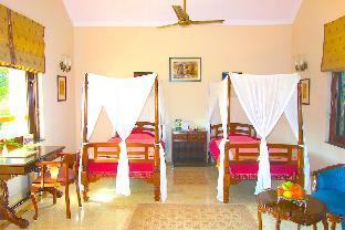 the baagh a forest retreat