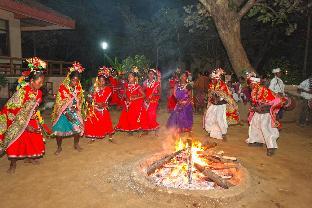 the baagh a forest retreat