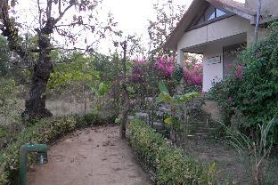 the baagh a forest retreat