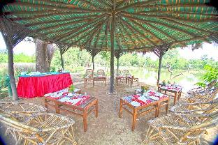 the baagh a forest retreat