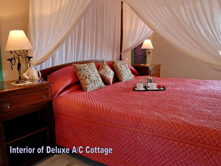 the baagh a forest retreat