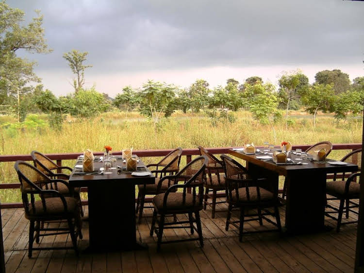 the baagh a forest retreat