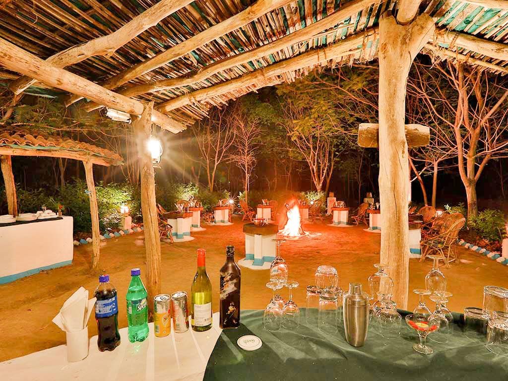 the baagh a forest retreat