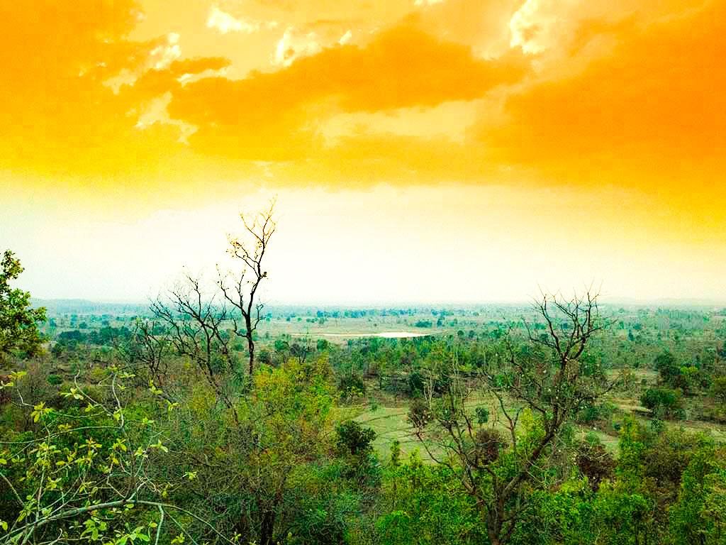 the baagh a forest retreat